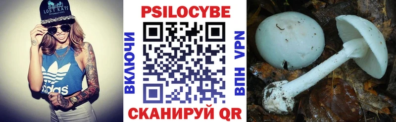 hydra как войти  Южноуральск  Галлюциногенные грибы ЛСД 